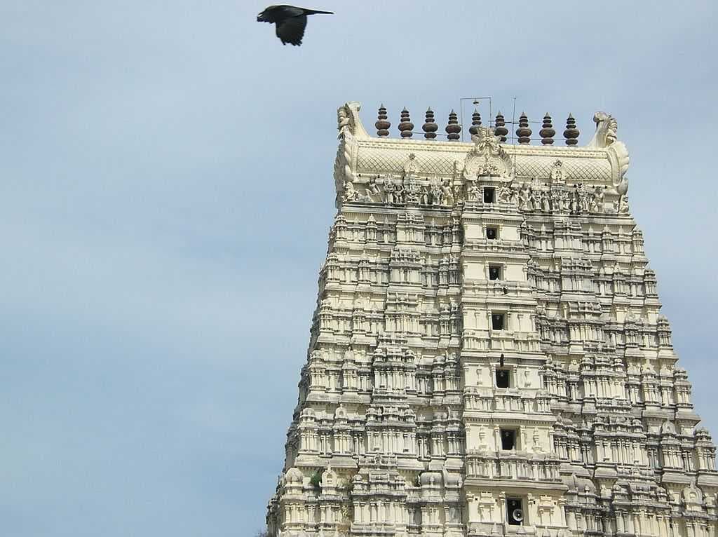 The Dwarkadheesh Temple travel image