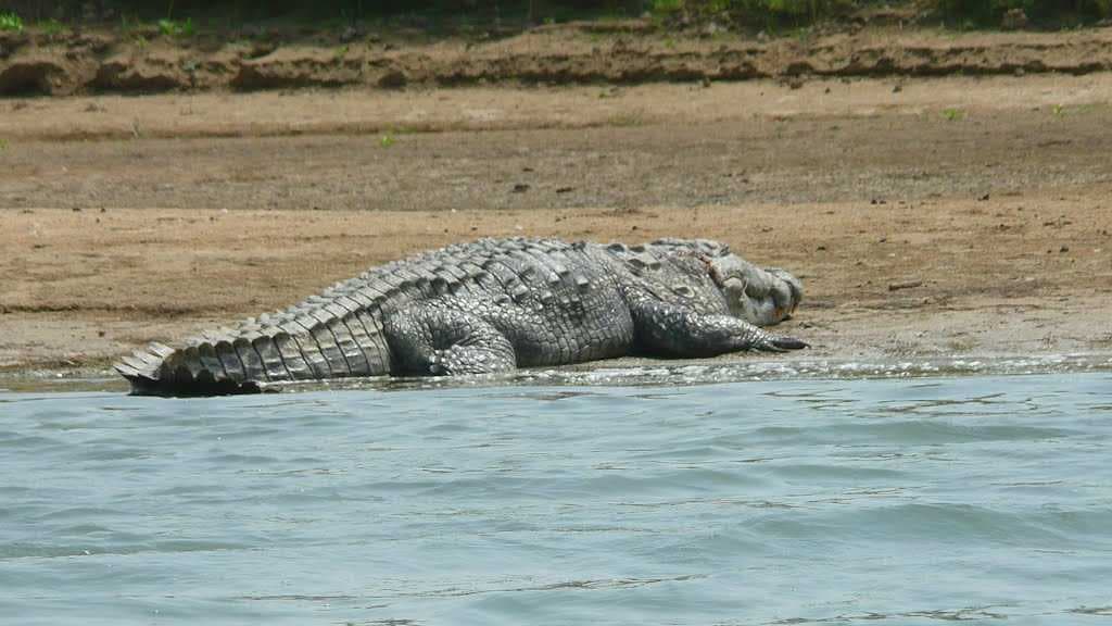 National Chambal Wildlife Sanctuary