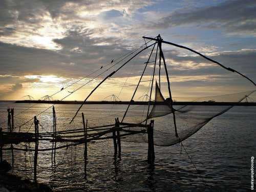 Nelliyampathy