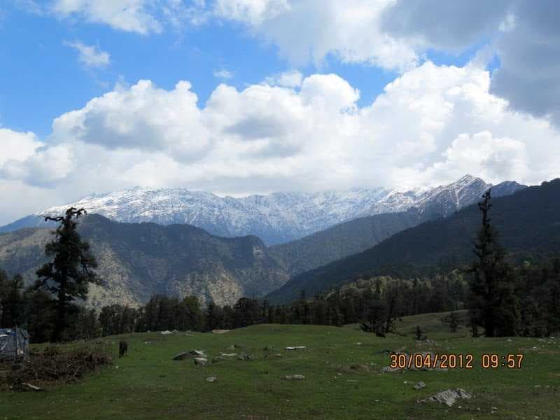 Chopta Valley travel image