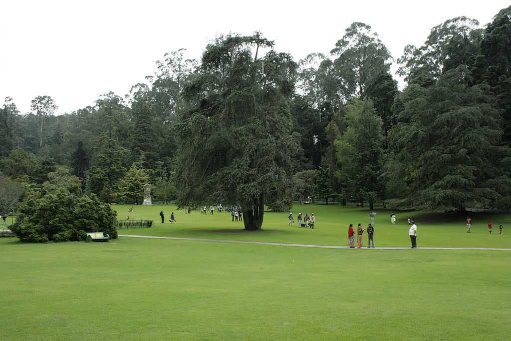Ooty Botanical Gardens travel image