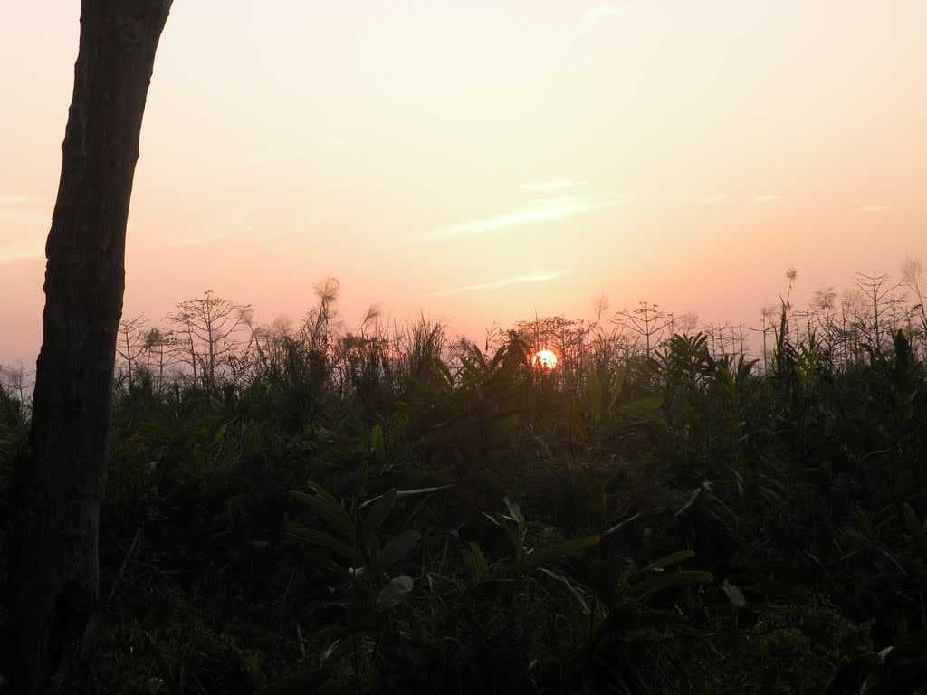 Sunset in Orang National Park,Assam