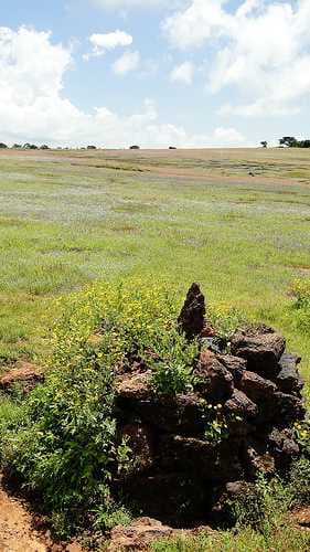 Kaas Plateau travel image