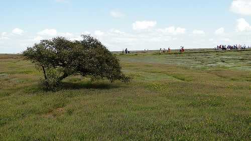 Kaas Plateau travel image