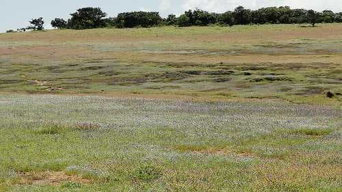 Kaas Plateau travel image