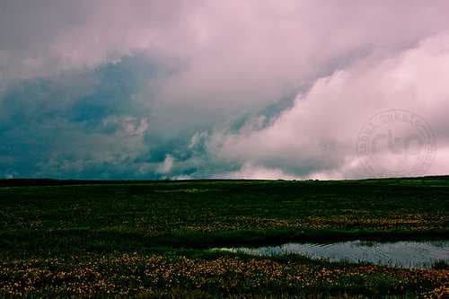 Kaas Plateau travel image