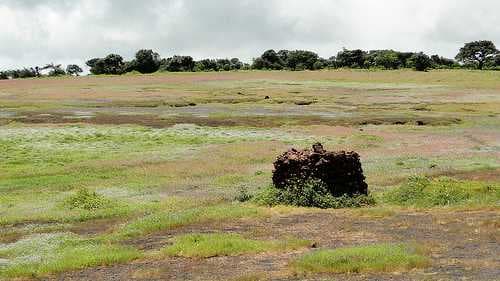 Kaas Plateau travel image