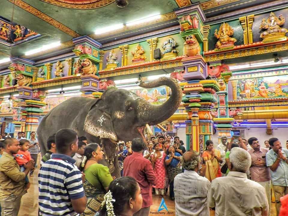 Sri Manakula Vinayagar Temple - Very Famous Ancient Temple