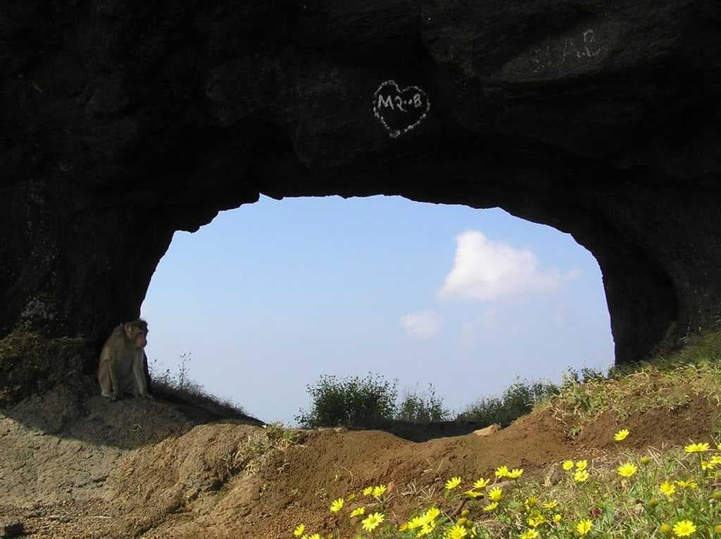 Ratangad Fort Trek travel image