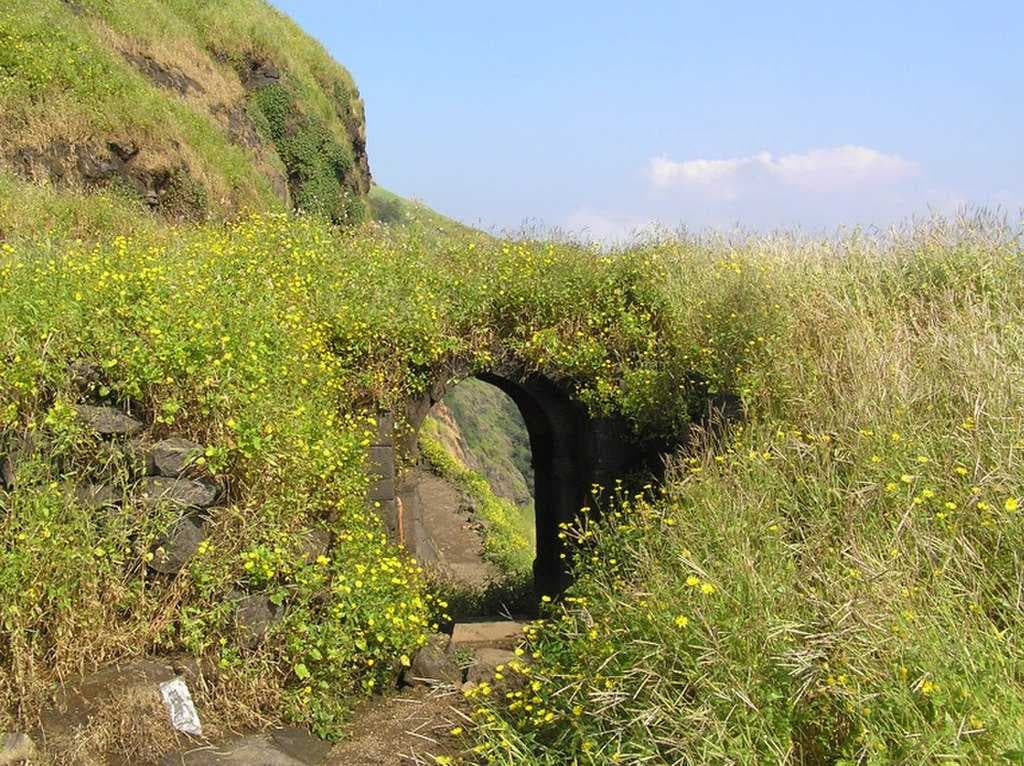 Ratangad Fort Trek travel image