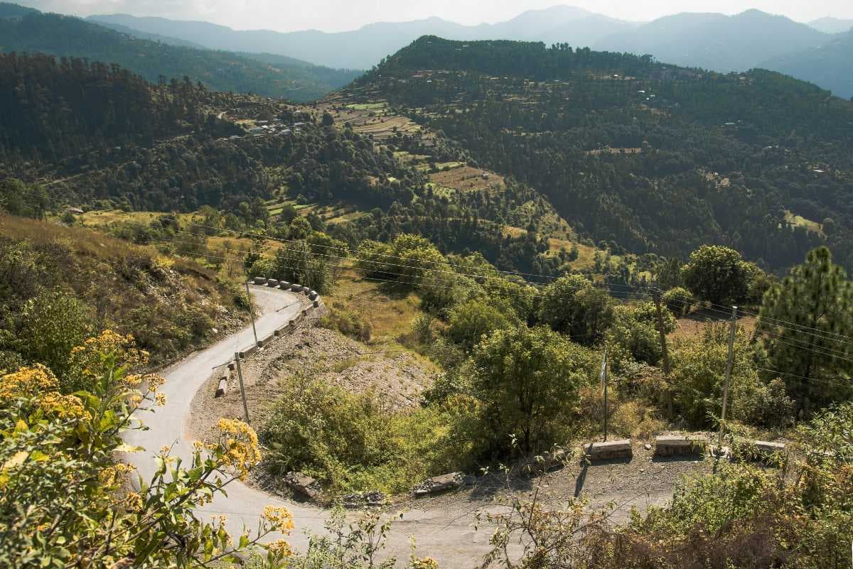 The roads winding through Naldehra hills