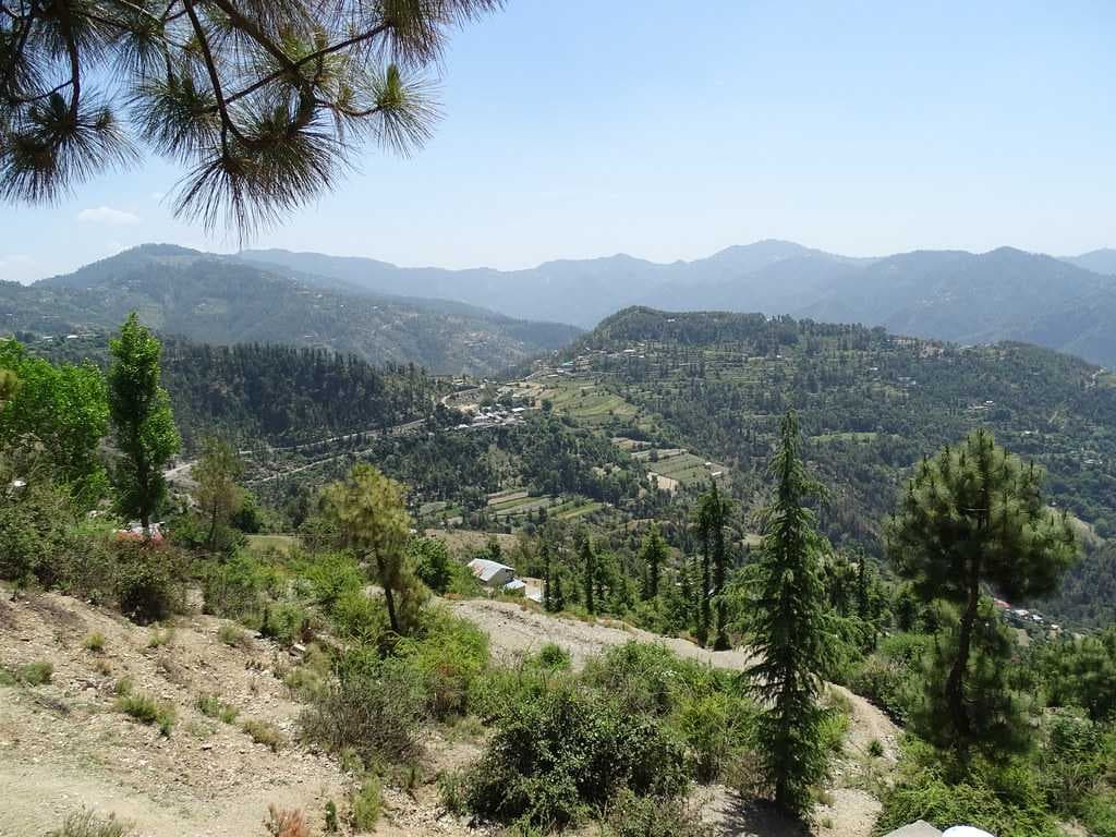 A serene view of Naldehra countryside