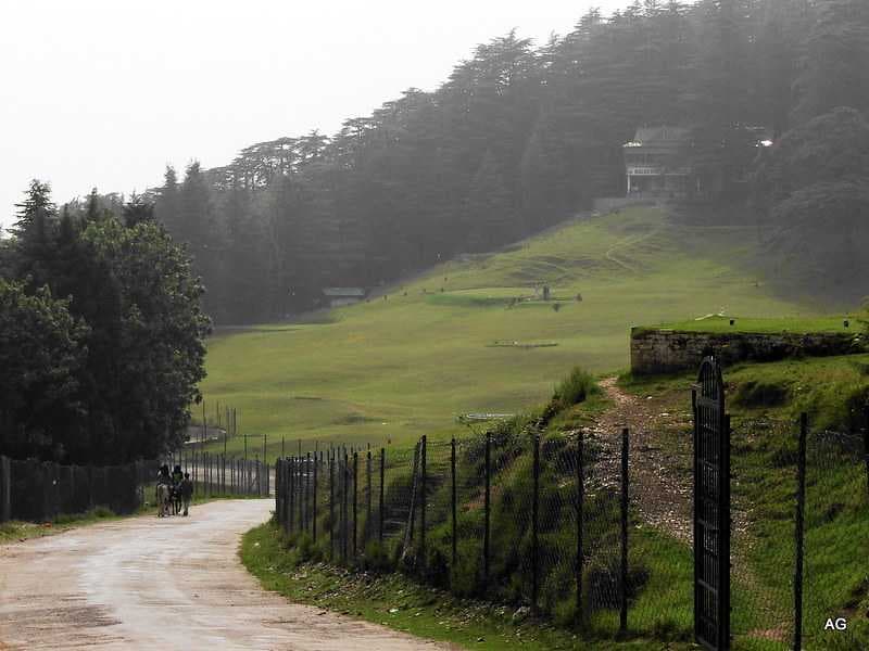 The famous Naldehra Golf Course