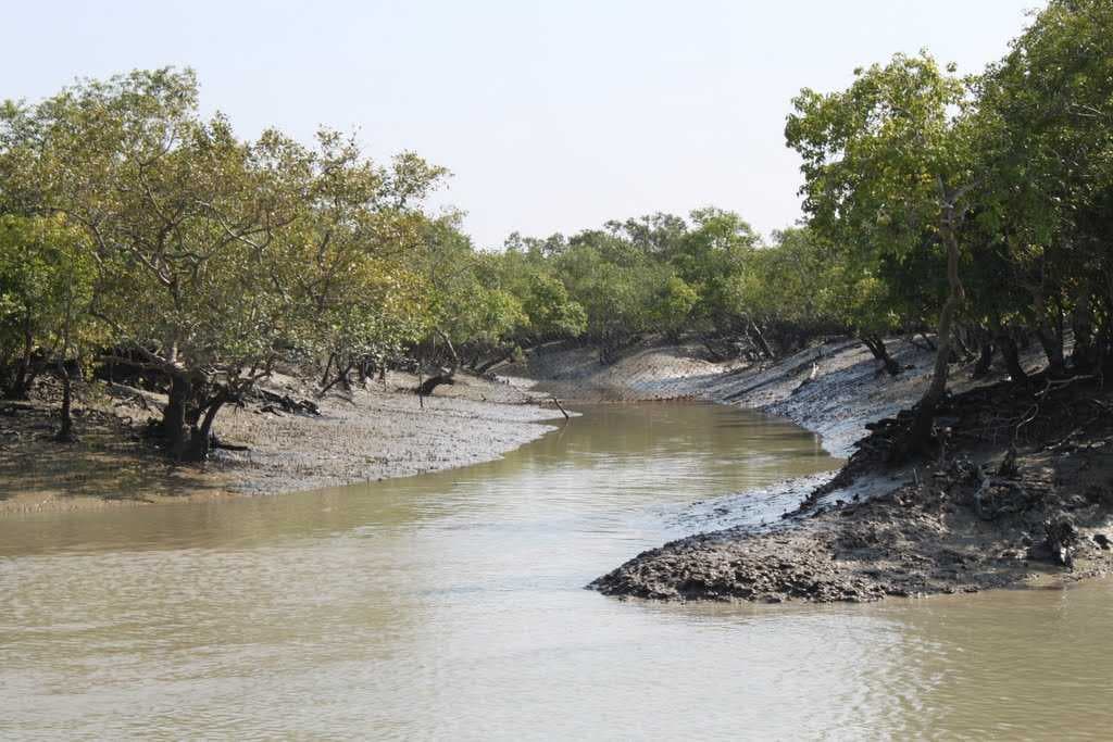 Sundarban has been Declared as the UNESCO World Heritage Site in 1997