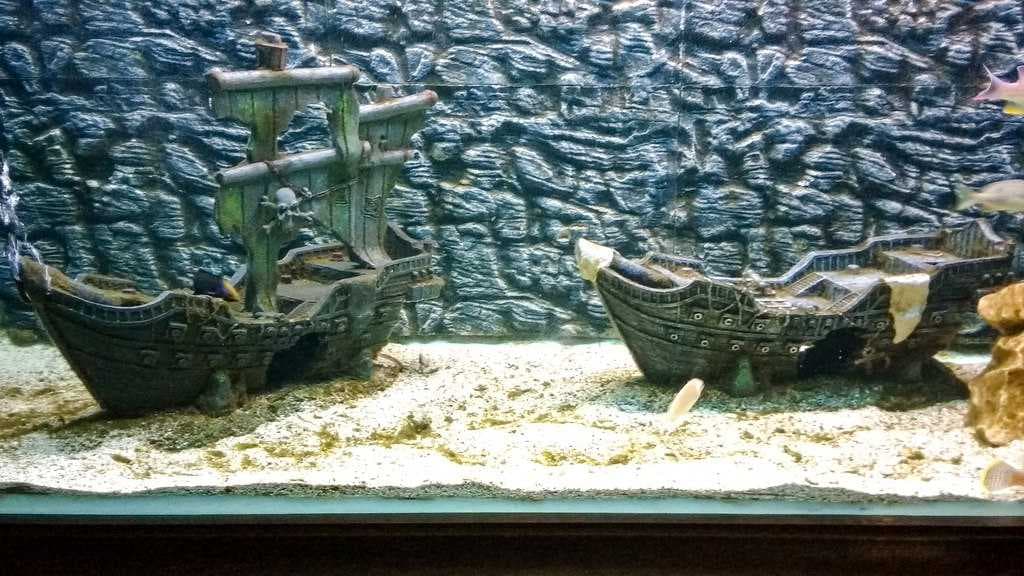Two models of shipwrecks in the aquarium.
