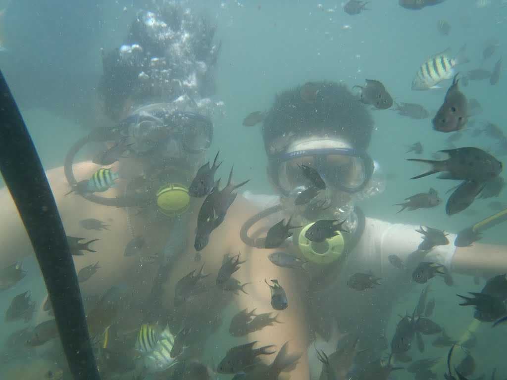 Water sports