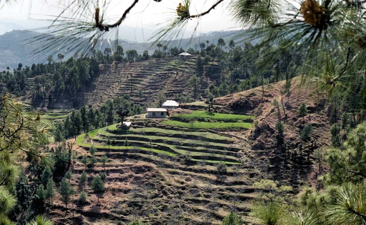 Chindi in Himachal