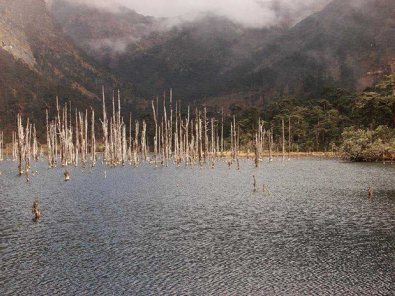 Madhuri Lake