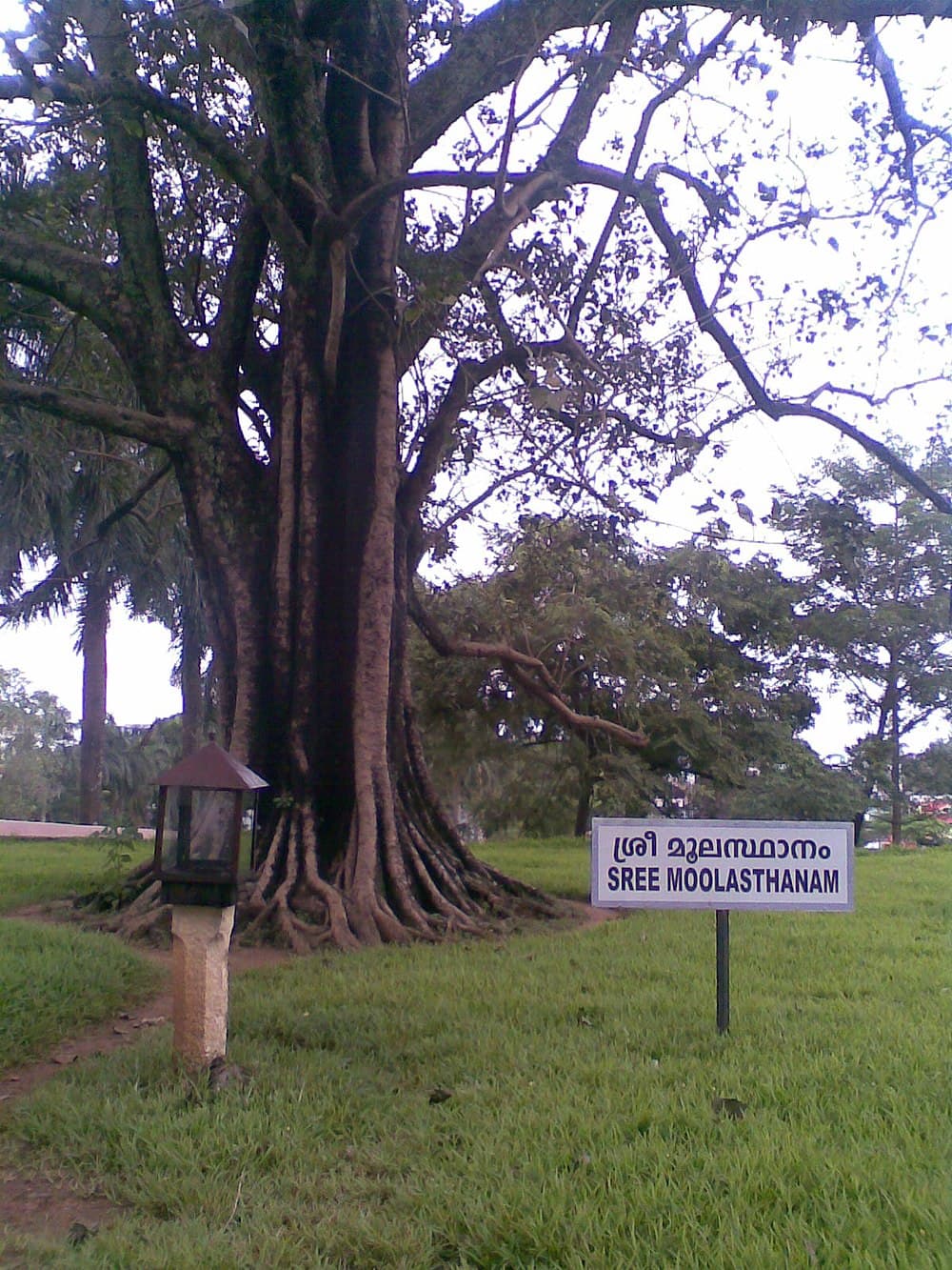 Vadakummnathan temple travel image