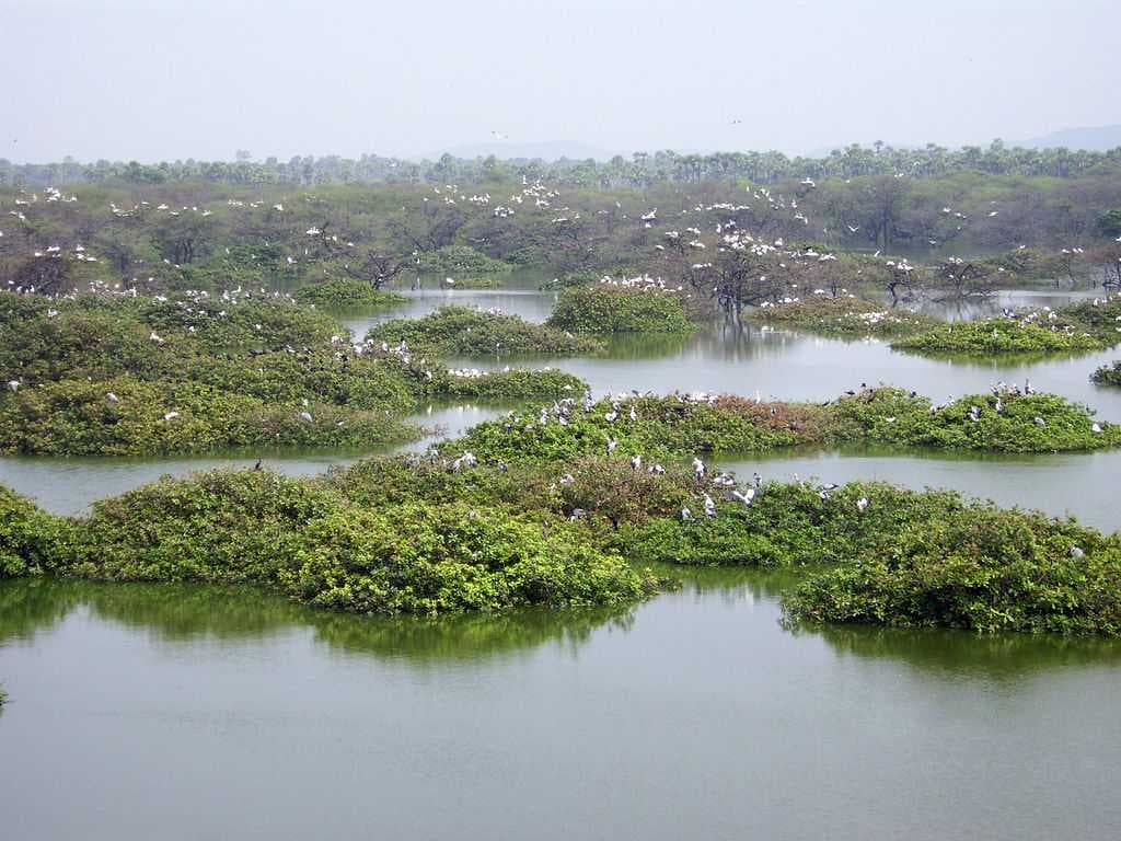 Vedanthangal travel image