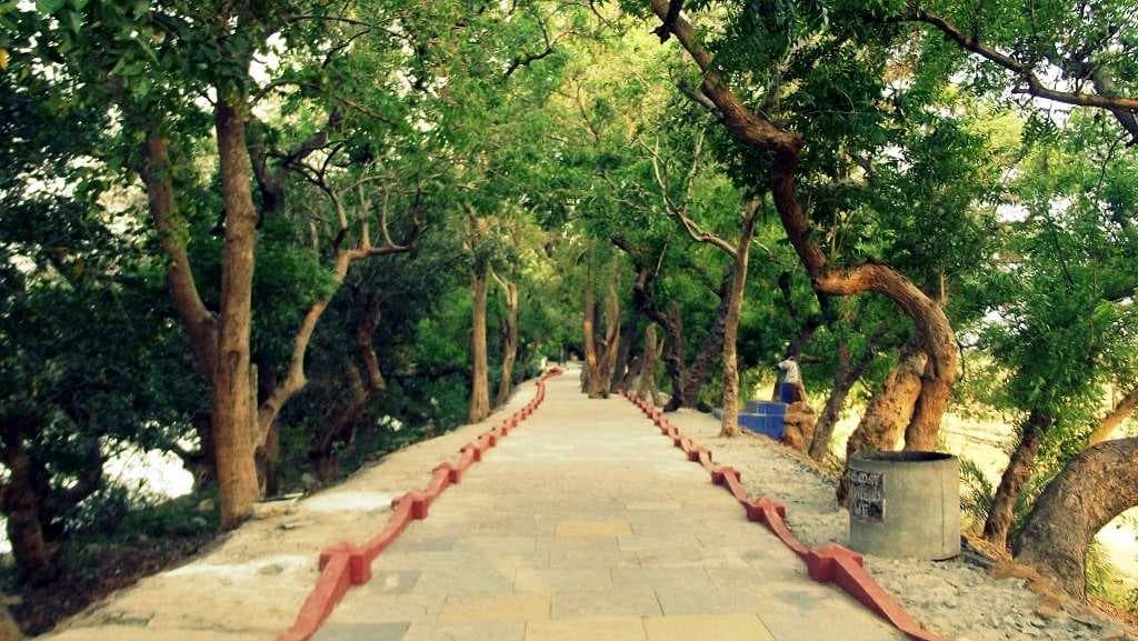 The pathway in Vedanthangal Bird Sanctuary.