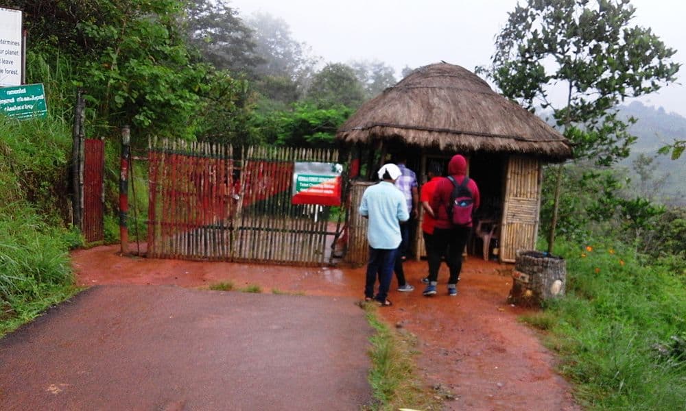 Soochipara Falls travel image