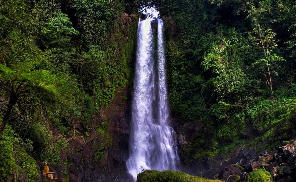 Gitgit Waterfall travel image
