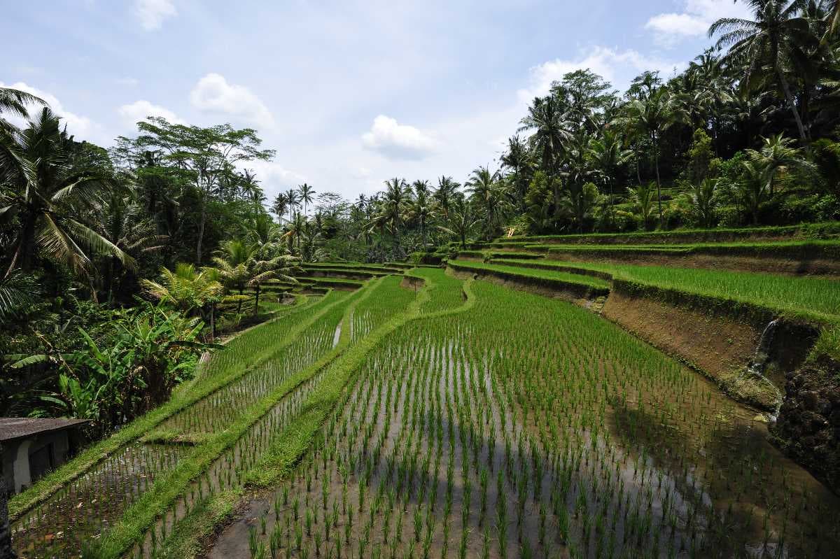 Gunung Kawi travel image