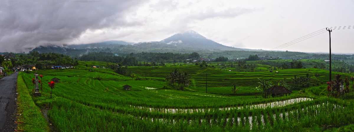 Jatiluwih Rice Fields
