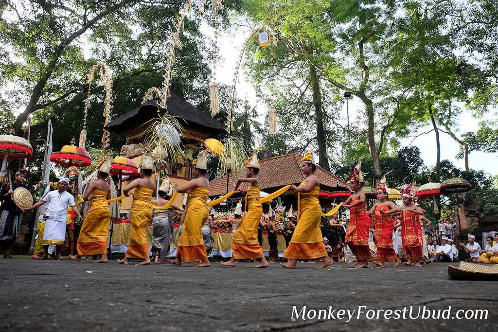 Ubud Monkey Forest travel image