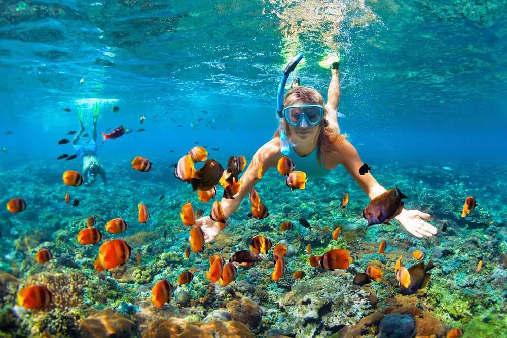 Snorkeling Water Sport, Padar Island