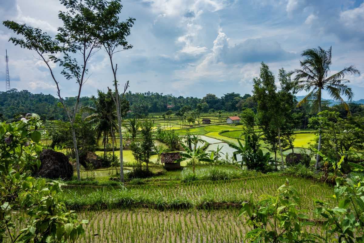 Amazing Scenery of Yogyakarta