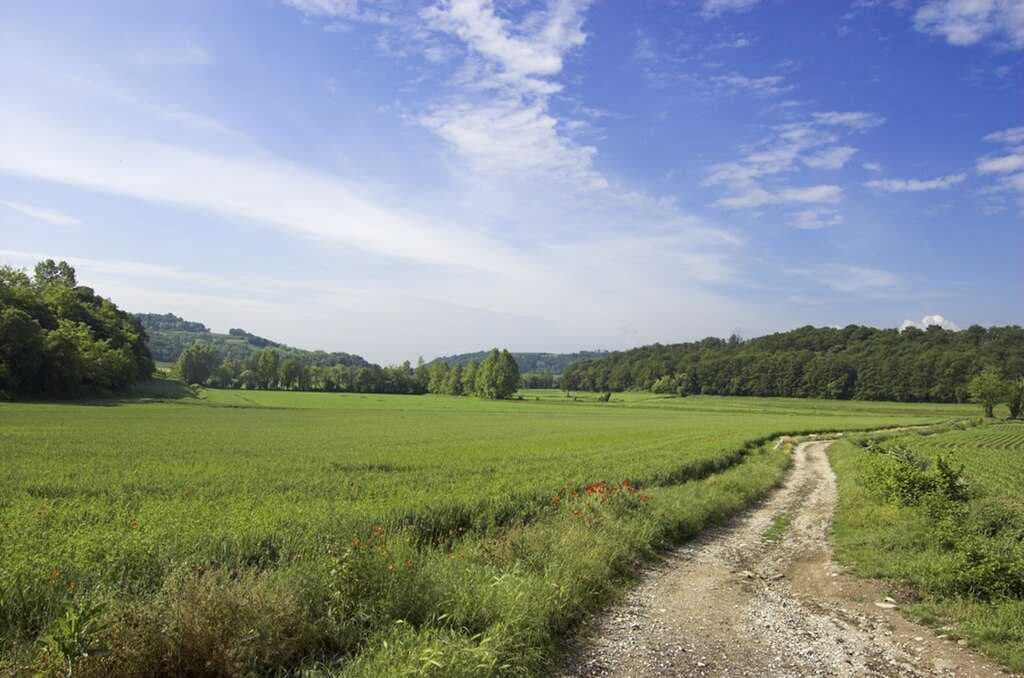 Moraine hills are typical of the southern part of Lake Garda.