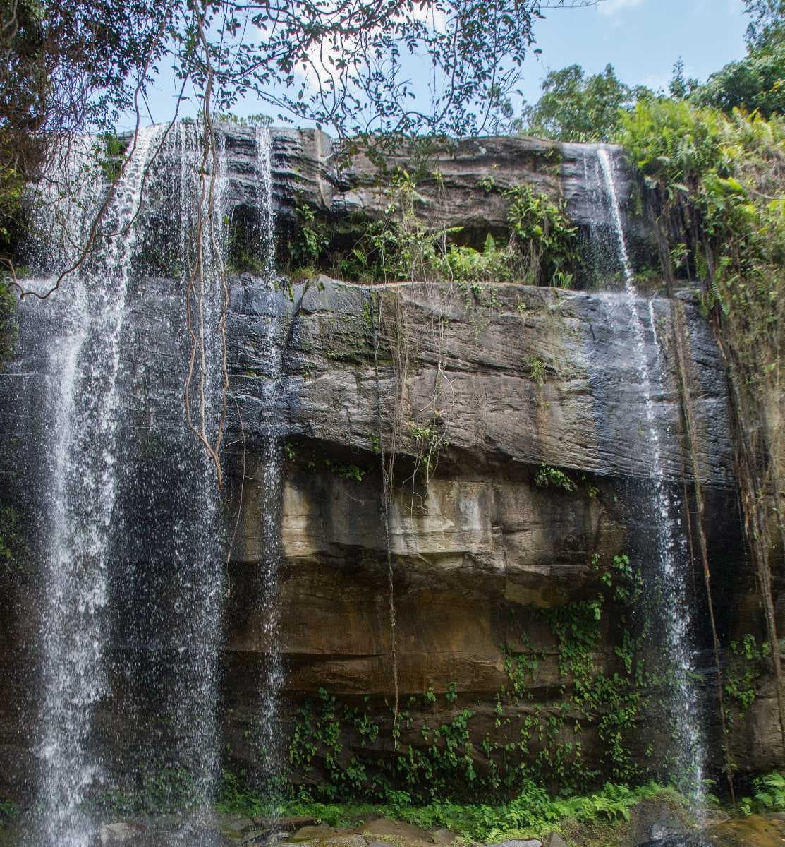 Sheldrick Falls