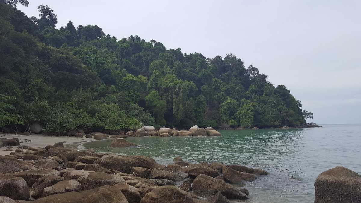 Monkey Beach, Penang National Park