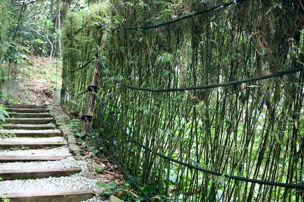 Walking Trails at Tropical Spice Garden