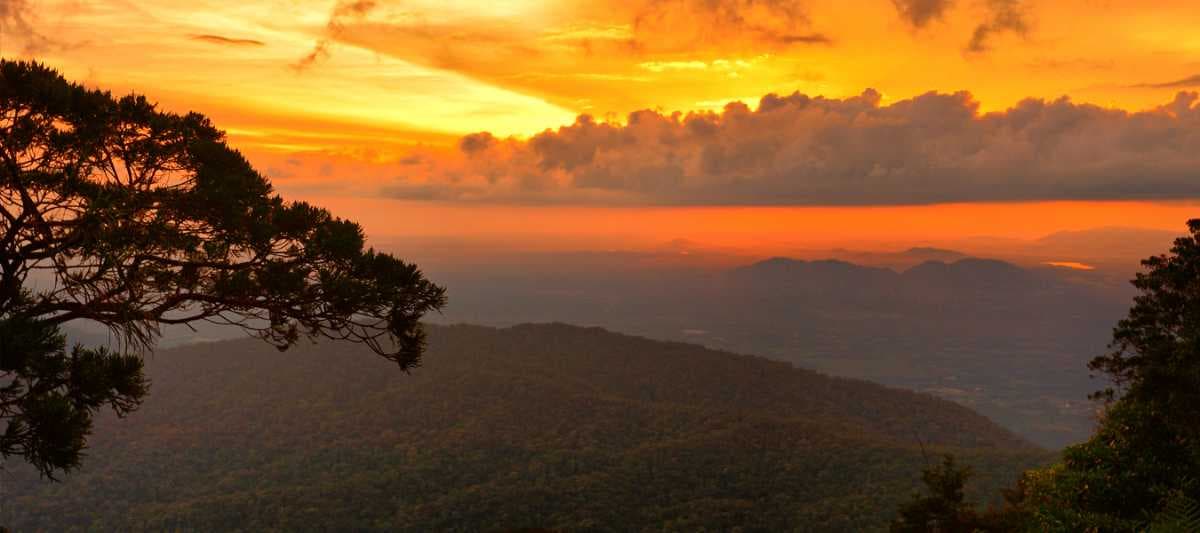Gunung Ledang National Park