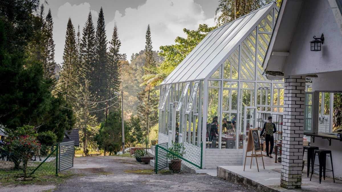 Fraser's Hill travel image