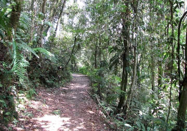 Fraser's Hill travel image