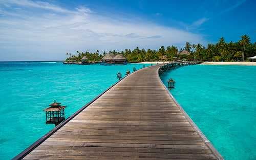 Maldives travel image