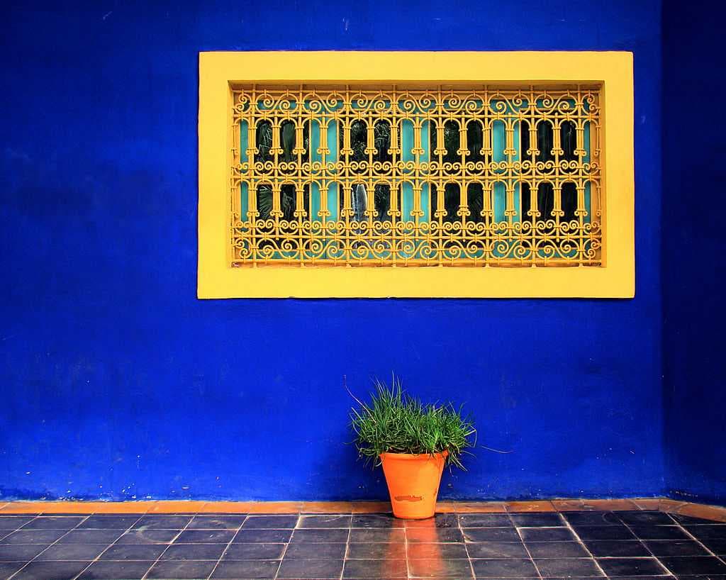 An example of Majorelle Blue from the house in the garden