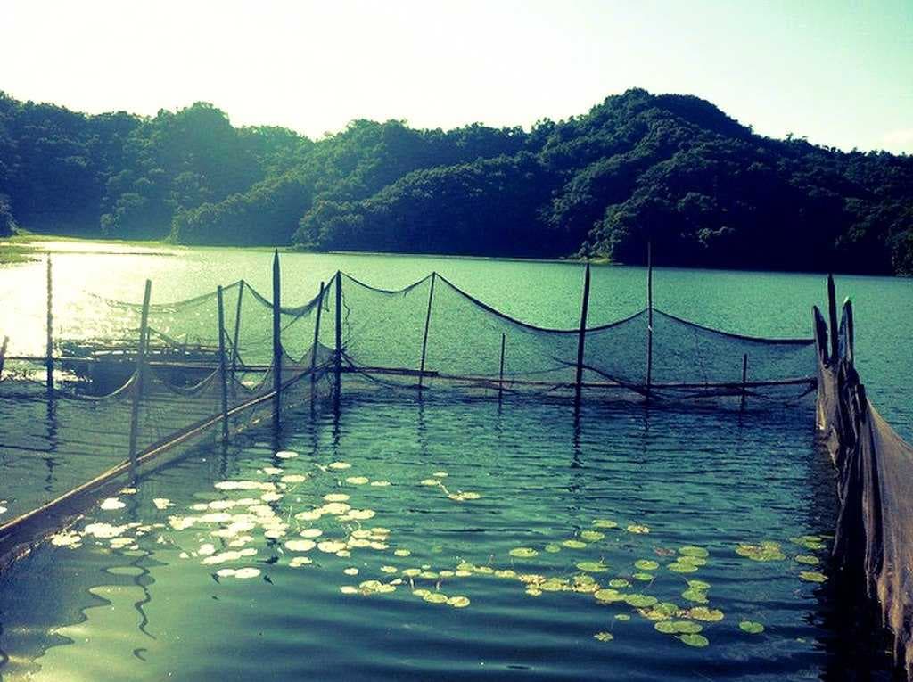 Cage Culture in Rupa Lake