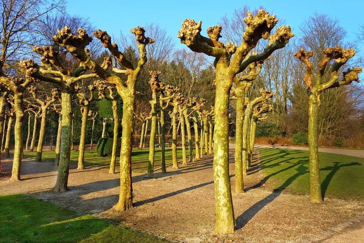 Amsterdam travel image
