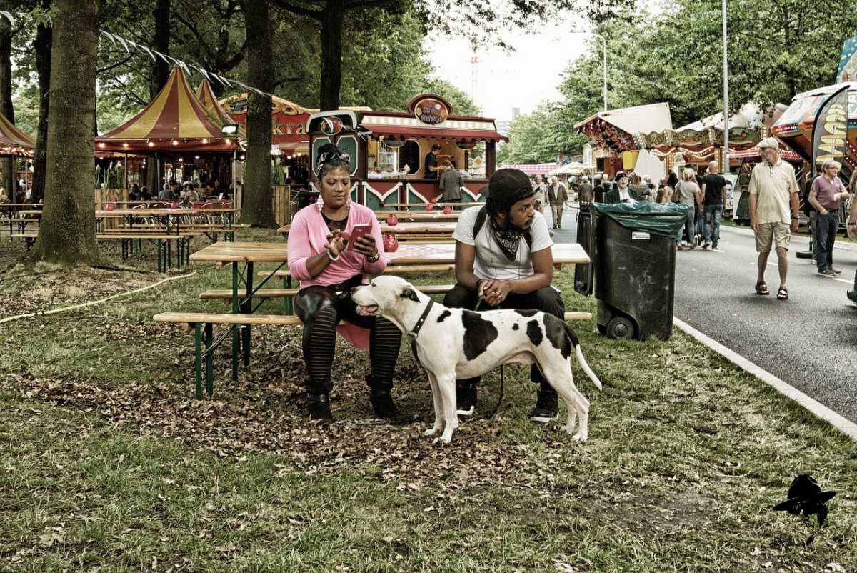 Eindhoven travel image
