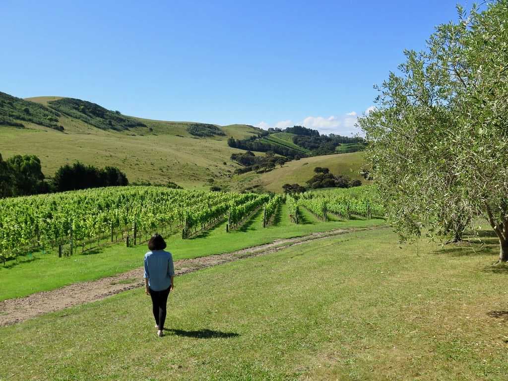 Stonyridge