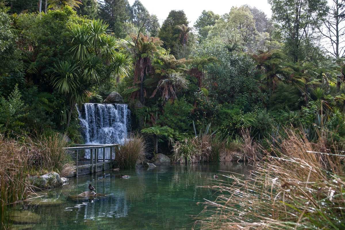 Rainbow Springs Kiwi Wildlife Park