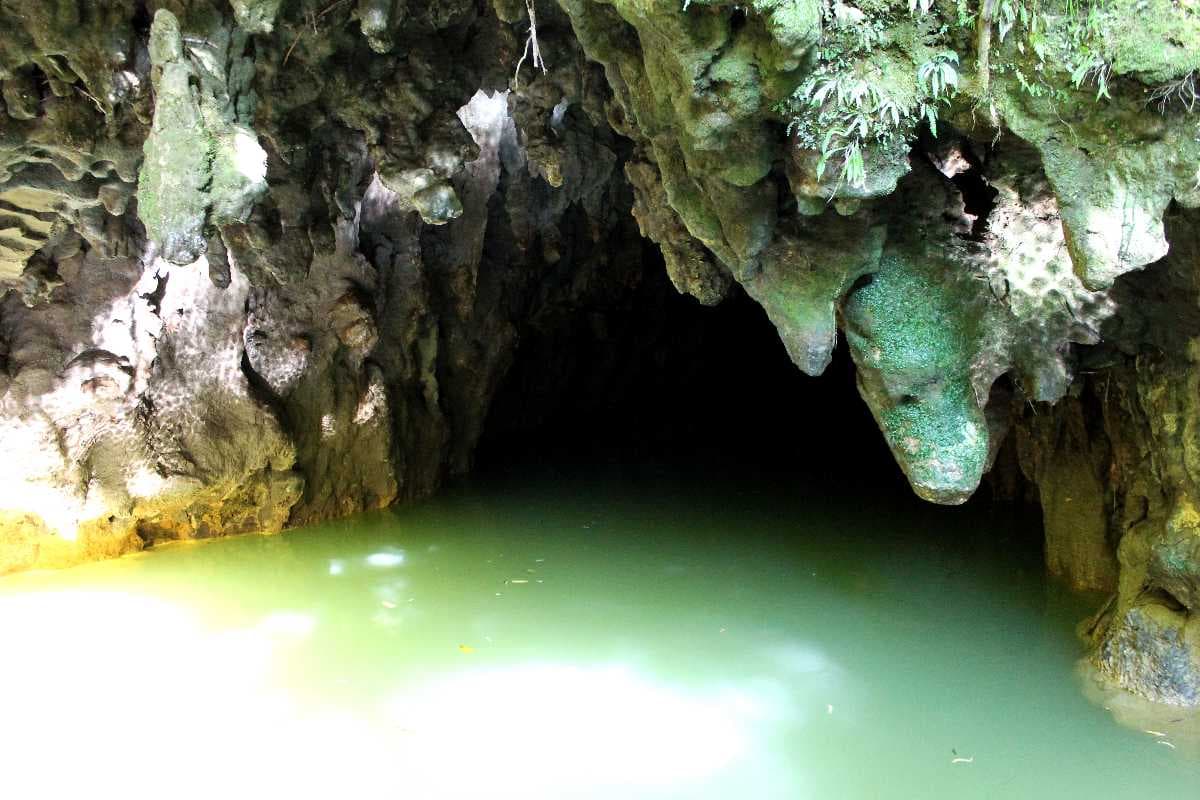 Waitomo Glowworm Caves