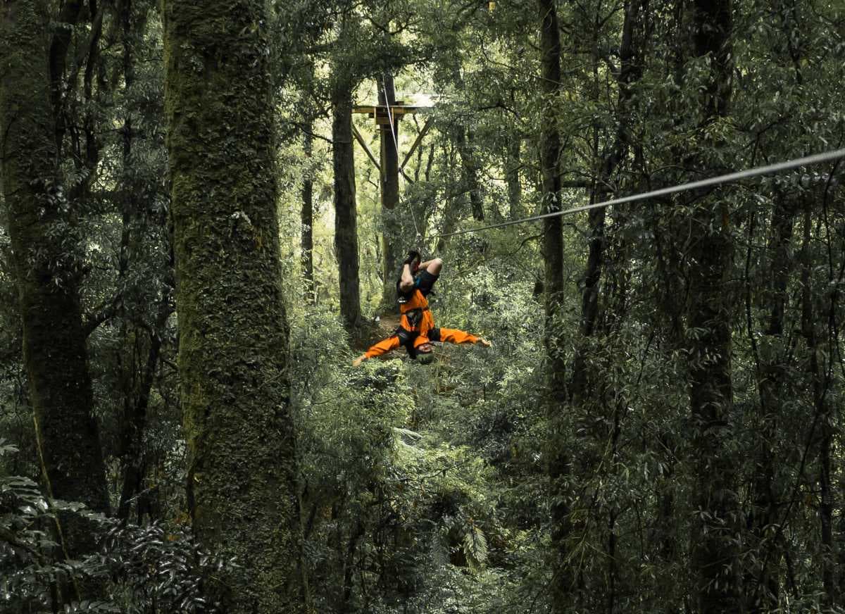 Rotorua Canopy Tours