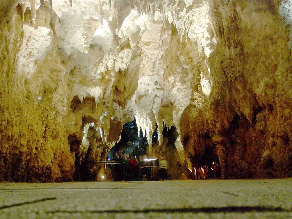 The Cathedral in the Waitomo Glowworm Caves.
