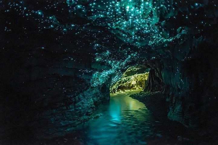 Glowworm caves